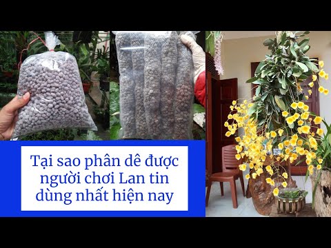 Tại sao phân dê được người chơi Lan tin dùng nhất hiện nay