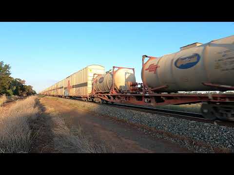 CSR021 & CSR022 Monomie NSW.  Wed 15th Mar 2023