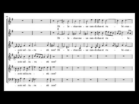 Victoria: Vadam et circuibo - Herreweghe