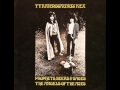 Tyrannosaurus Rex - Stacey Grove 