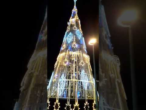 Cabo Frio  , árvore de Natal na praça Porto Rocha