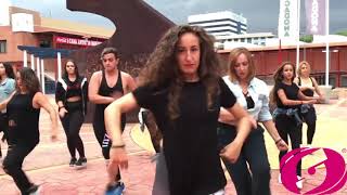 DÃa del flamenco.