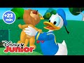 Cumpleaños De Donald LA CASA DE MICKEY MOUSE El León Perdido EPISODIO COMPLETO DisneyJuniorES