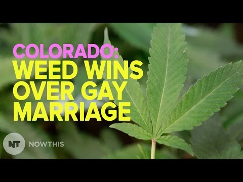 Rant: Gay Marriage 0 - Weed 1 | NowThis