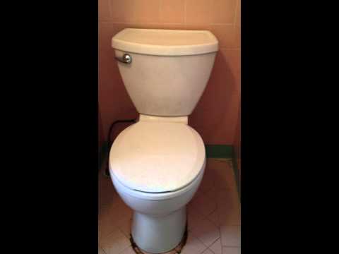 American Standard Cadet 3 Toilet - Install and Flush