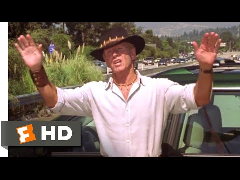 2001年洛杉磯的鱷魚鄧迪 - 臭鼬交通堵塞場景 (2/10) | 電影剪輯 (Crocodile Dundee in Los Angeles (2001) - Skunk Traffic Jam Scene (2/10) | Movieclips)
