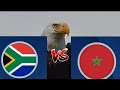 South Africa vs Morocco - Africa Cup Of Nations 2023 - Eagle Prediction