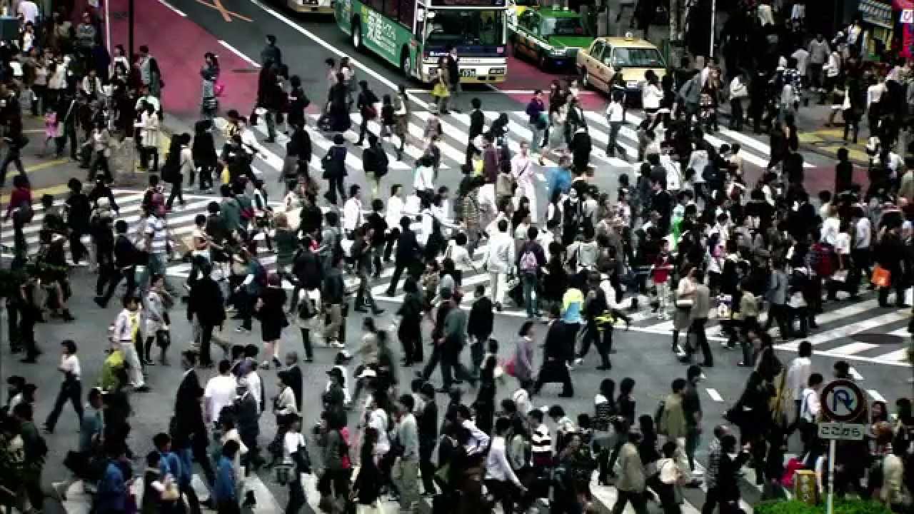 Human Harvest Official Trailer