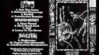 Devolution split cd 9. mediocracy.wmv