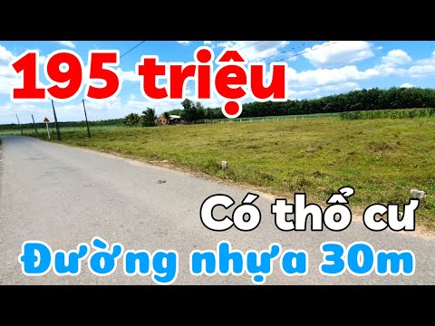 Bán 7 lô đất đường nhựa 5x40 có thổ cư giá 195 triệu sổ hồng riêng ở Thạnh Bình Tây Ninh