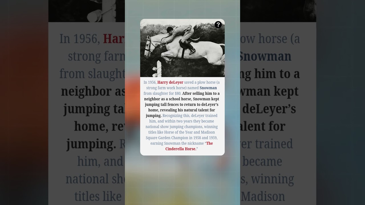 From Slaughterhouse to Stardom! 🐴✨