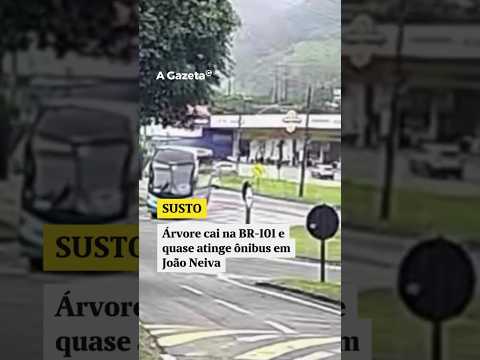 Árvore cai na BR-101 e quase atinge ônibus em João Neiva #shorts #noticias