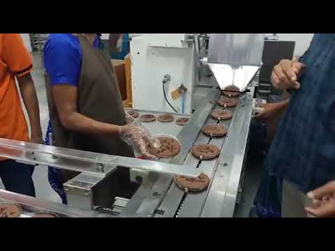 Food Metal Detector