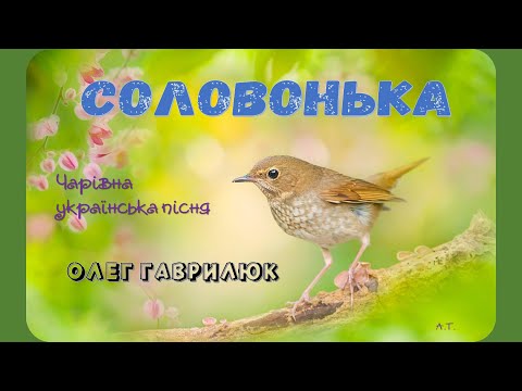 СОЛОВОНЬКА! (Чарівна українська пісня) -  Олег ГАВРИЛЮК