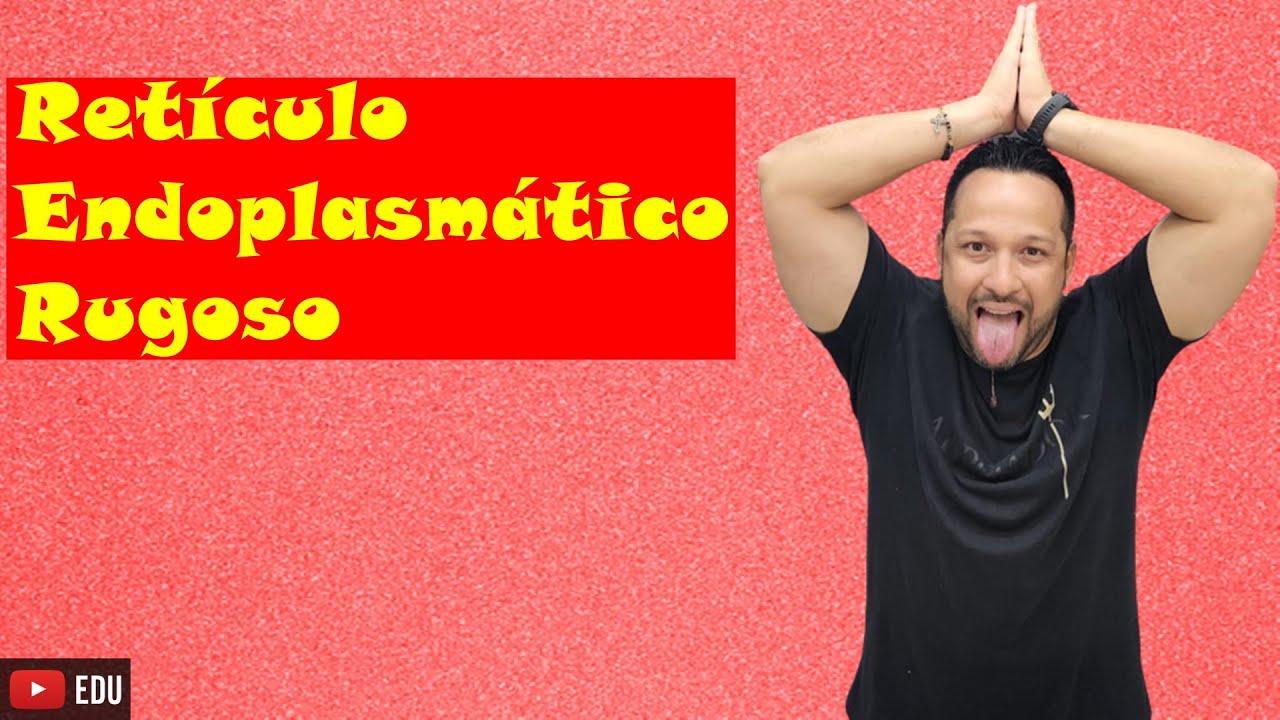 Retículo Endoplasmático Rugoso ou Granular ou Ergastoplasma - Características e Funções - Citologia