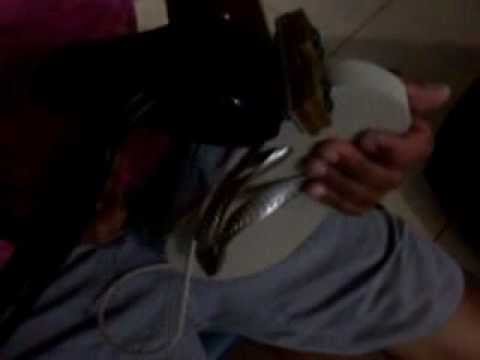 frizando chinelos havainas para colocaçâo de strass