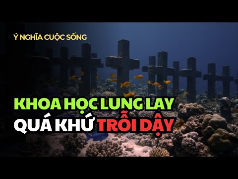 Khoa Học Chấn Động: 6 Bí Mật Kinh Hoàng Trỗi Dậy Từ Vực Thẳm Đại Dương
