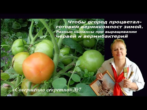 Будни начинающего вермифермера. Делаем вермикомпост зимой, ньюансы.