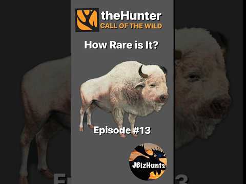 How Rare Is It? Albino Plains Bison | Episode 013 #thehuntercallofthewild #thehuntercotw #cotw