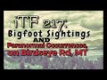 iTF 217: Bigfoot Sightings and Paranormal Occurrences on Birdseye Rd, MT