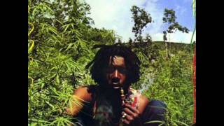 Peter Tosh - Burial