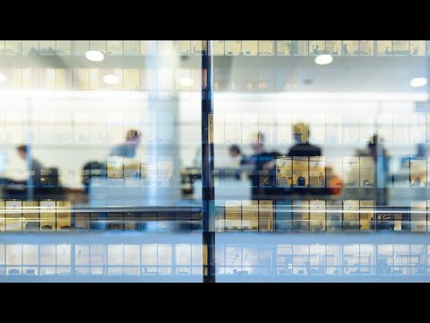 Douglas Murray slams corporate America’s ‘race-based’ quotas