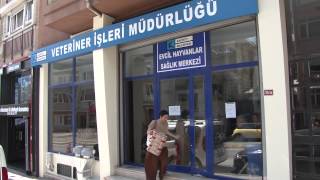Evcil Hayvanlar Sağlık Merkezi Acıbadem'deki Yeni Yerinde Açıldı