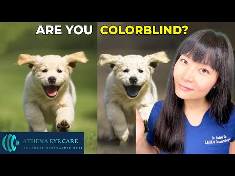 YOU May Be Color Blind and Not Know It: Color Blindness Test