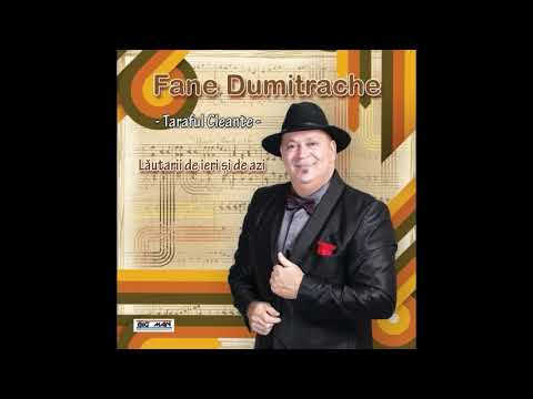 Fane Dumitrache La bolintinul din vale