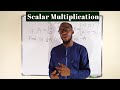 Scalar Multiplication Of Matrices