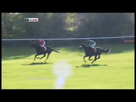 2011 Shloer Chase - Cheltenham Open