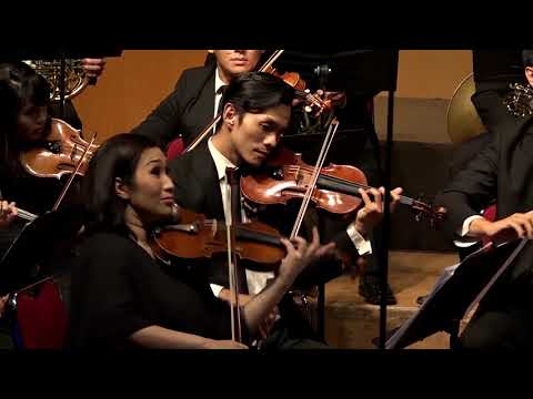 Symphony No. 1 in D minor, I. Allegro maestoso - Carl Loewe