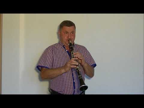 Polkę "Wyszła chmura" gra na klarnecie Edward Gil z Kajetanowa