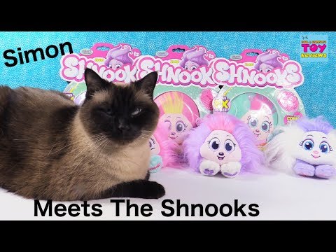 Simon Meets The Shnooks New Plush Best Friends Unboxing Toy Review | PSToyReviews