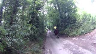 preview picture of video 'Startled Horse - Tandridge Hill Lane'