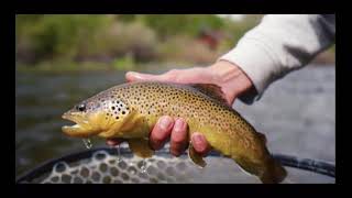 Musica Relaxante | Relax Music | Musica, Pensamento Positivo, Prosperidade | #0134#