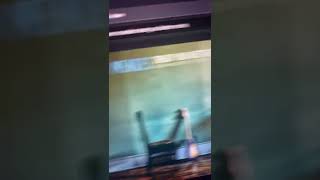 Download lagu Shawn Mendes - Treat You Better (Ashworth Remix Version 11) - (DJ Party) mp3