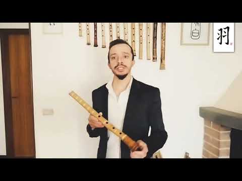 Shakuhachi 🎙️-About Me- 📽️ "Hi I'm Giorgio Pinna..."
