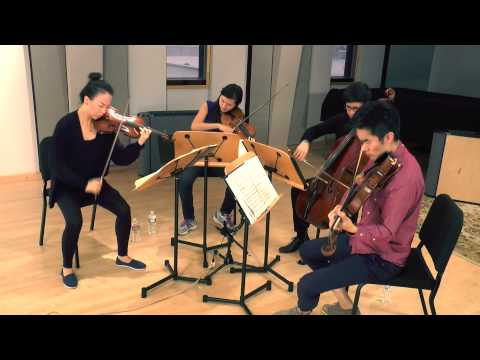 Skyline Sessions: Rolston String Quartet - Ravel's String Quartet in F Major