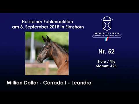 Holsteiner Fohlenauktion | Nr. 52 v. Million Dollar - Corrado I