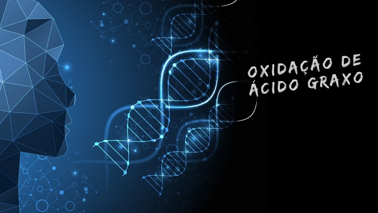 Lipólise: oxidação de ácido graxo