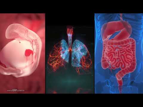 The Science of Life Before Birth