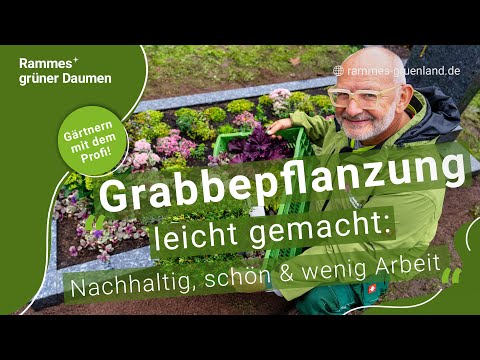 Grabbepflanzung leicht gemacht: Nachhaltig, schön & wenig Arbeit