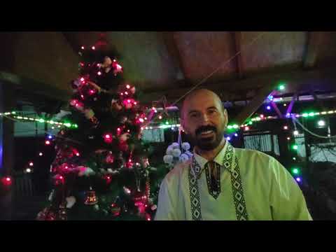 Radu Dorca-In orasul Viflaim