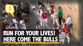 Amid Injuries and Deaths, Spain Celebrates San Fermin Bull Run