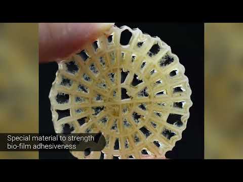 moving bed biofilm reactor (mbbr)