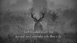 Bear's Den - Stubborn Beast Lyrics