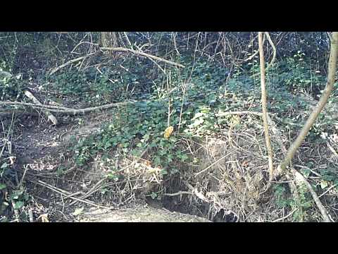 comment construire une garenne a lapin