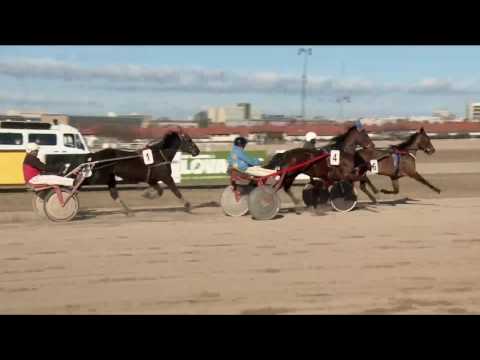 2017.02.25. 3. futam - BŰVÉSZ DÍJ