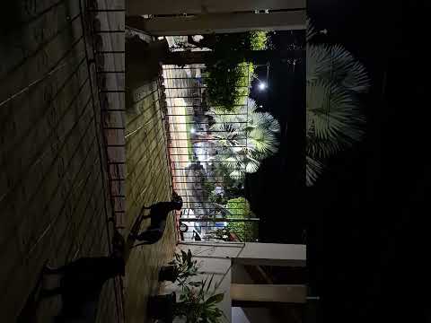 Antônio Prado de Minas. MG